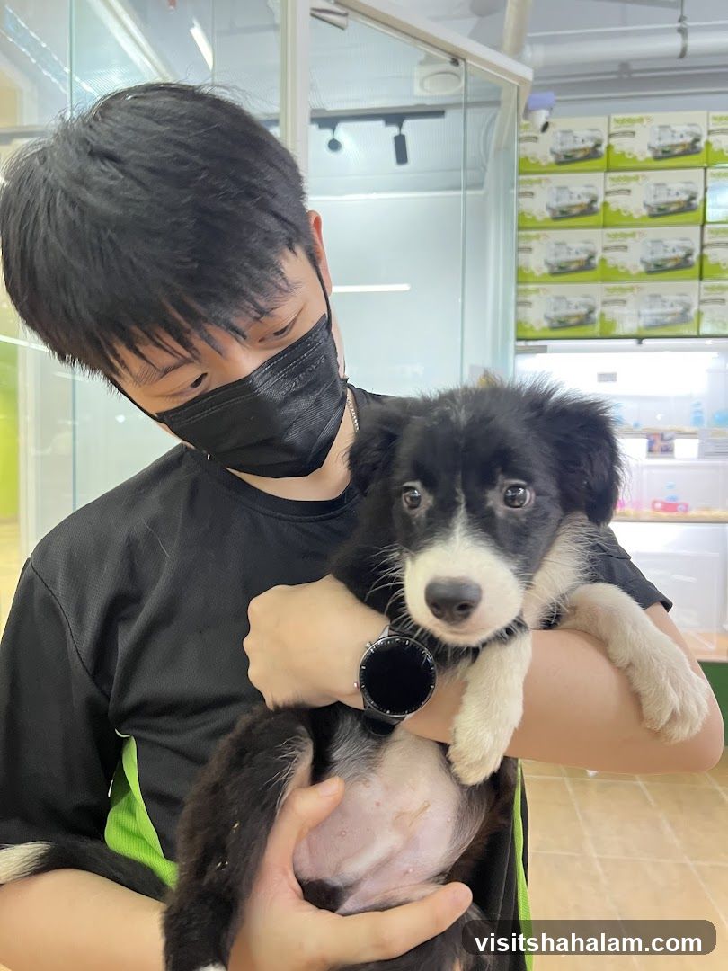 Man holding a puppy