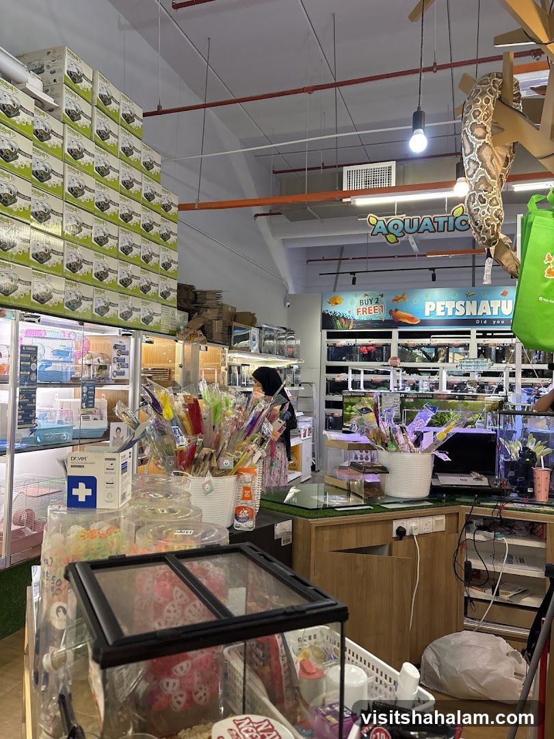 Pet Store Interior
