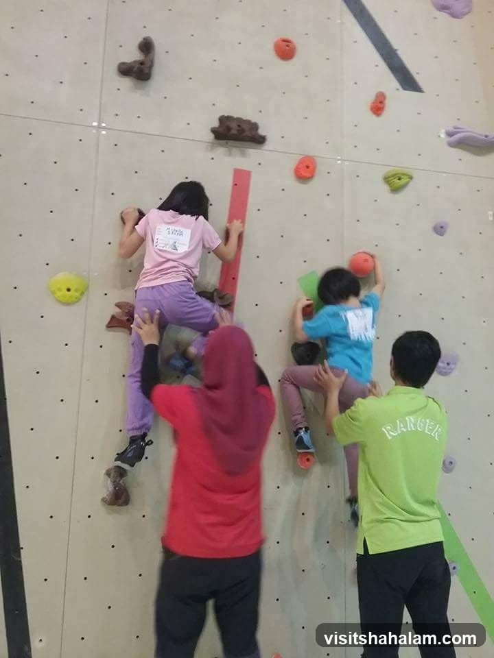 Children Climbing Wall