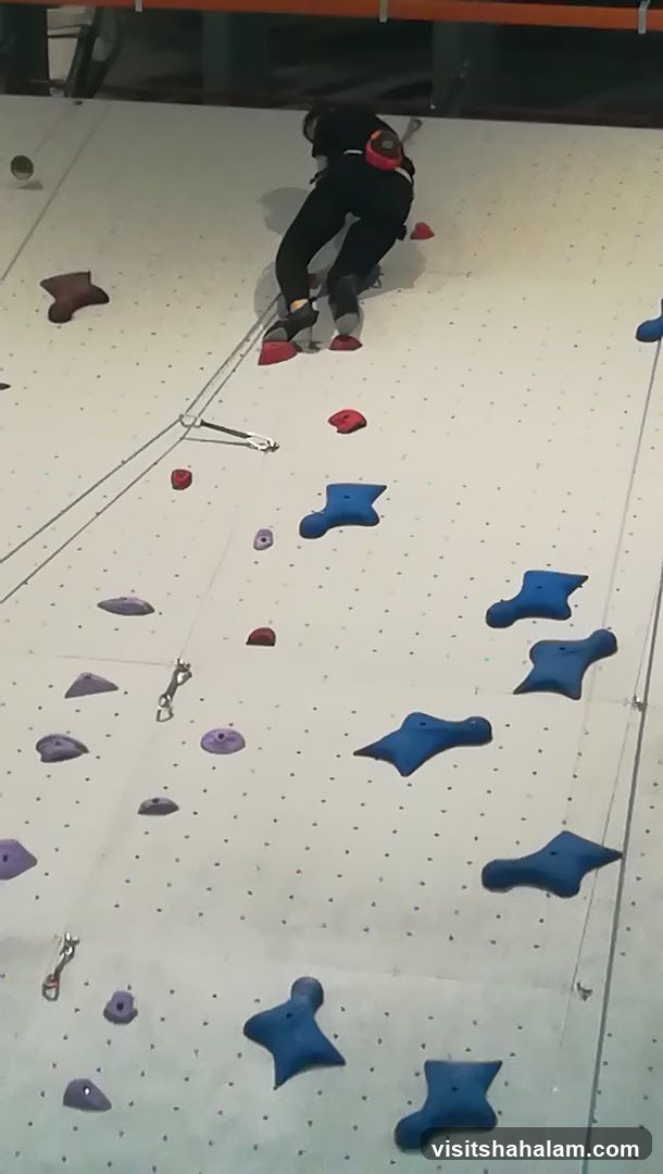 Climbing Wall Activity