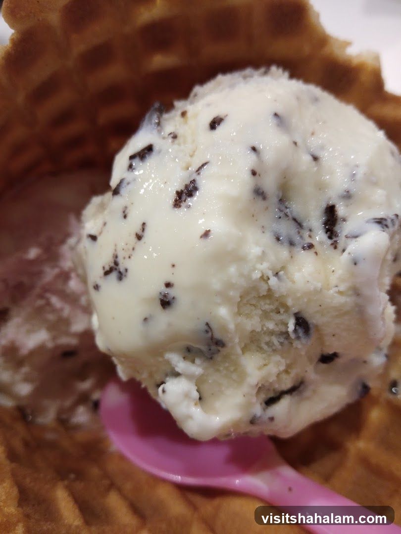 Chocolate Chip Ice Cream in a Waffle Cone