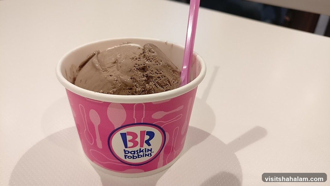 Baskin Robbins Ice Cream Cup