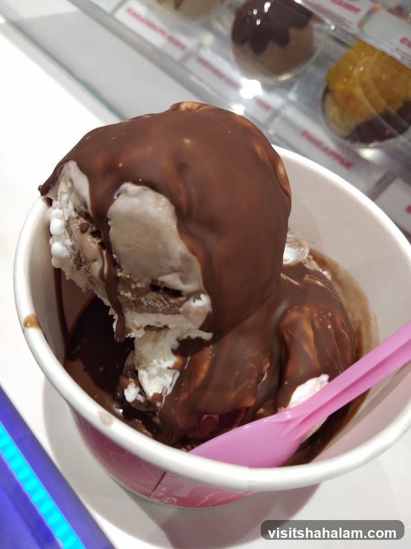 Ice Cream with Chocolate Sauce
