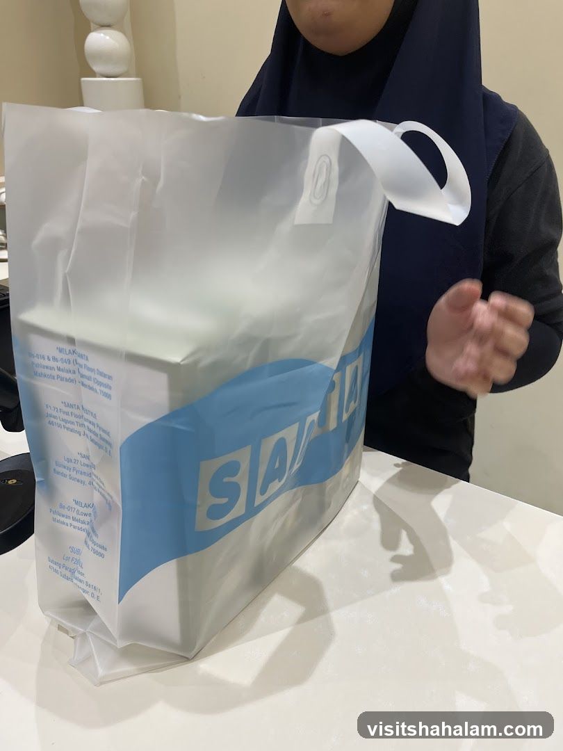 Shopping Bag