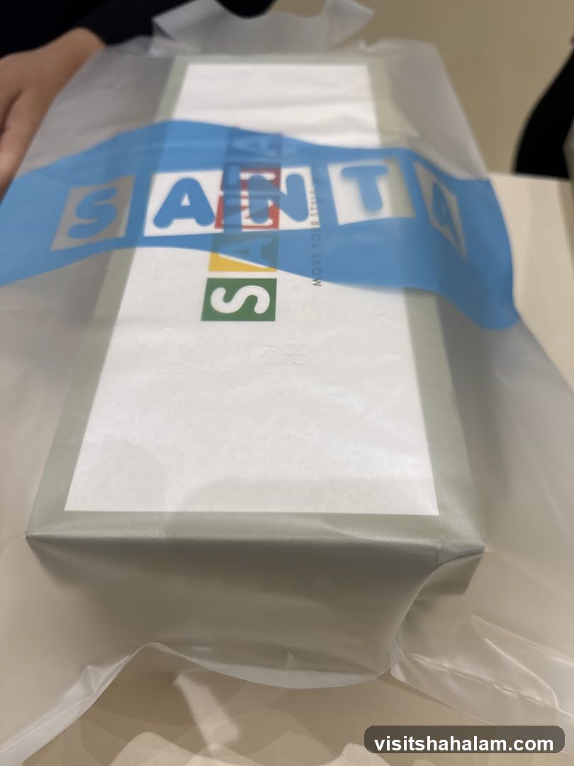 Subway Bag