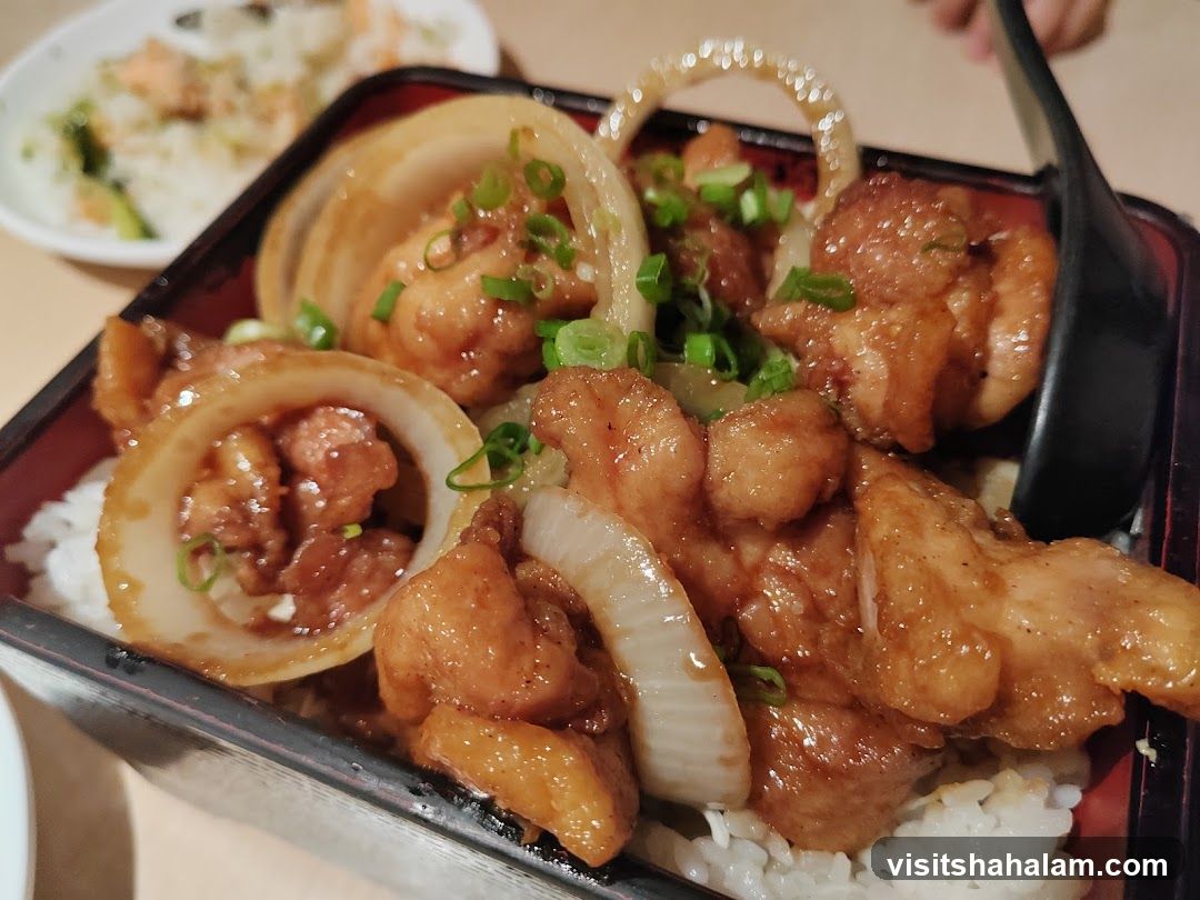 Chicken and Onion Rice Bowl
