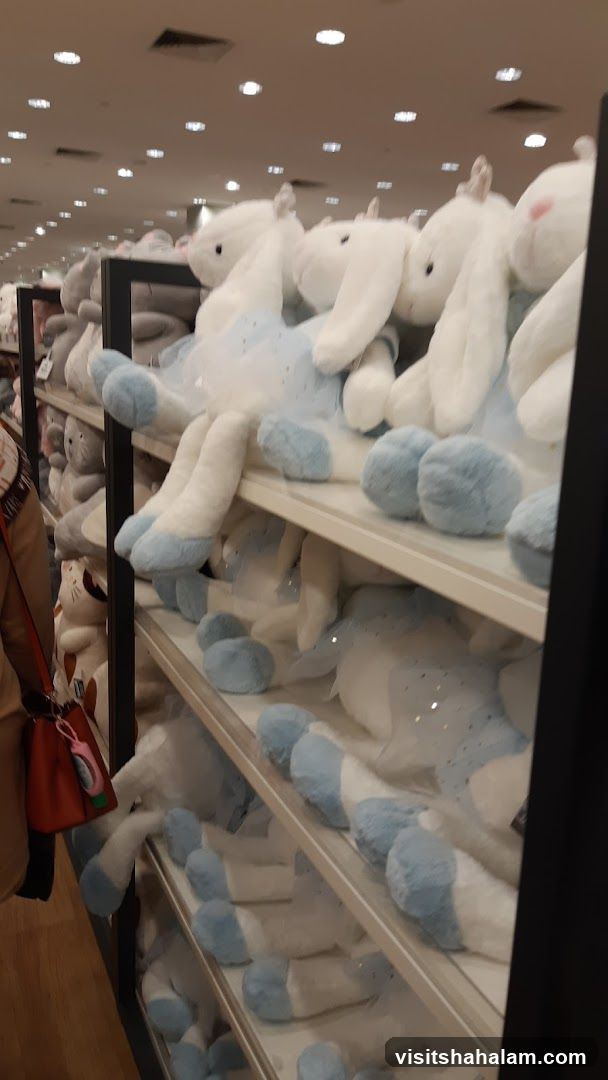 Plush Toys on Shelves