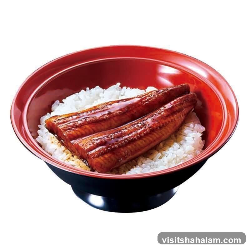 Unagi Donburi
