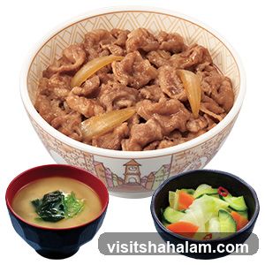 Beef bowl set