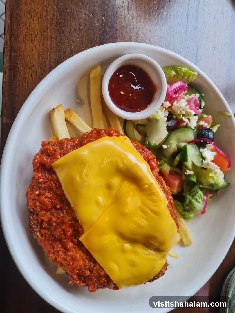 Chicken dish with fries and salad