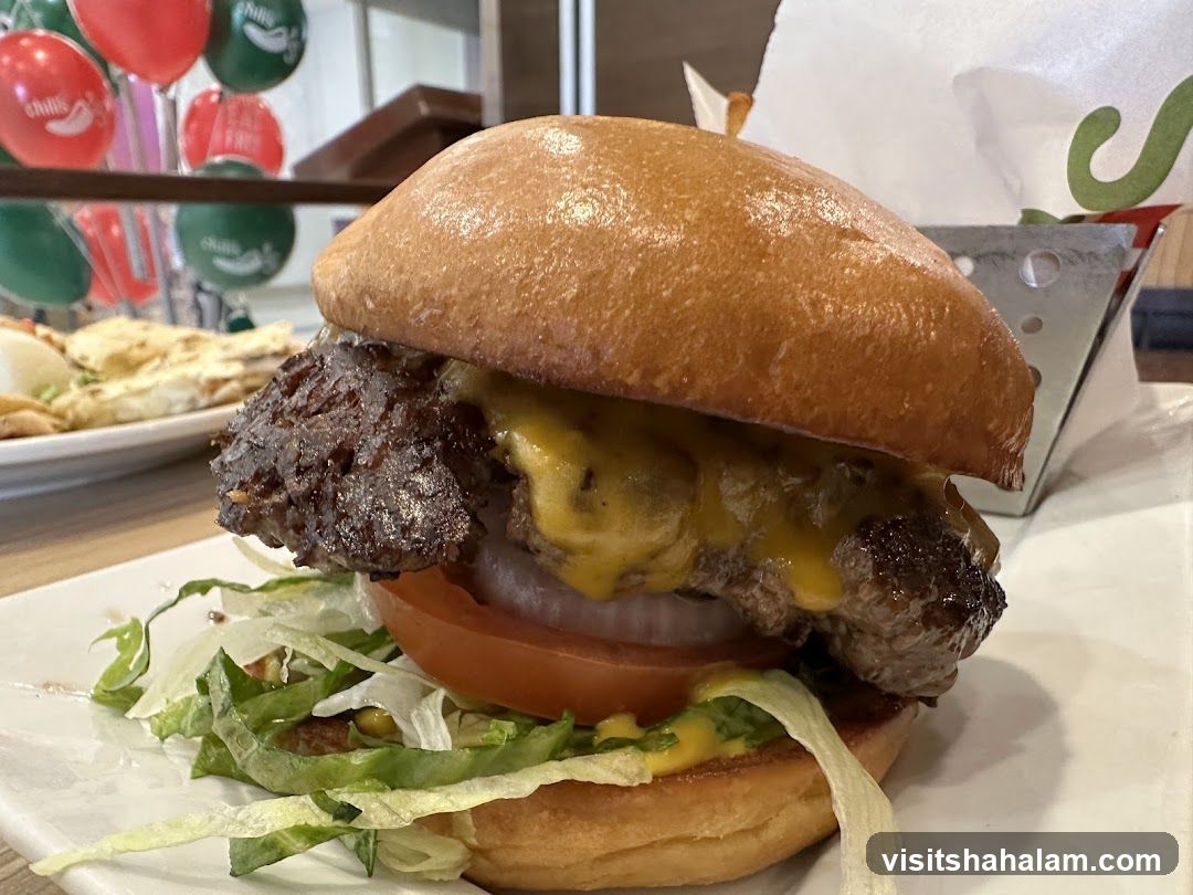 Cheeseburger with Fries
