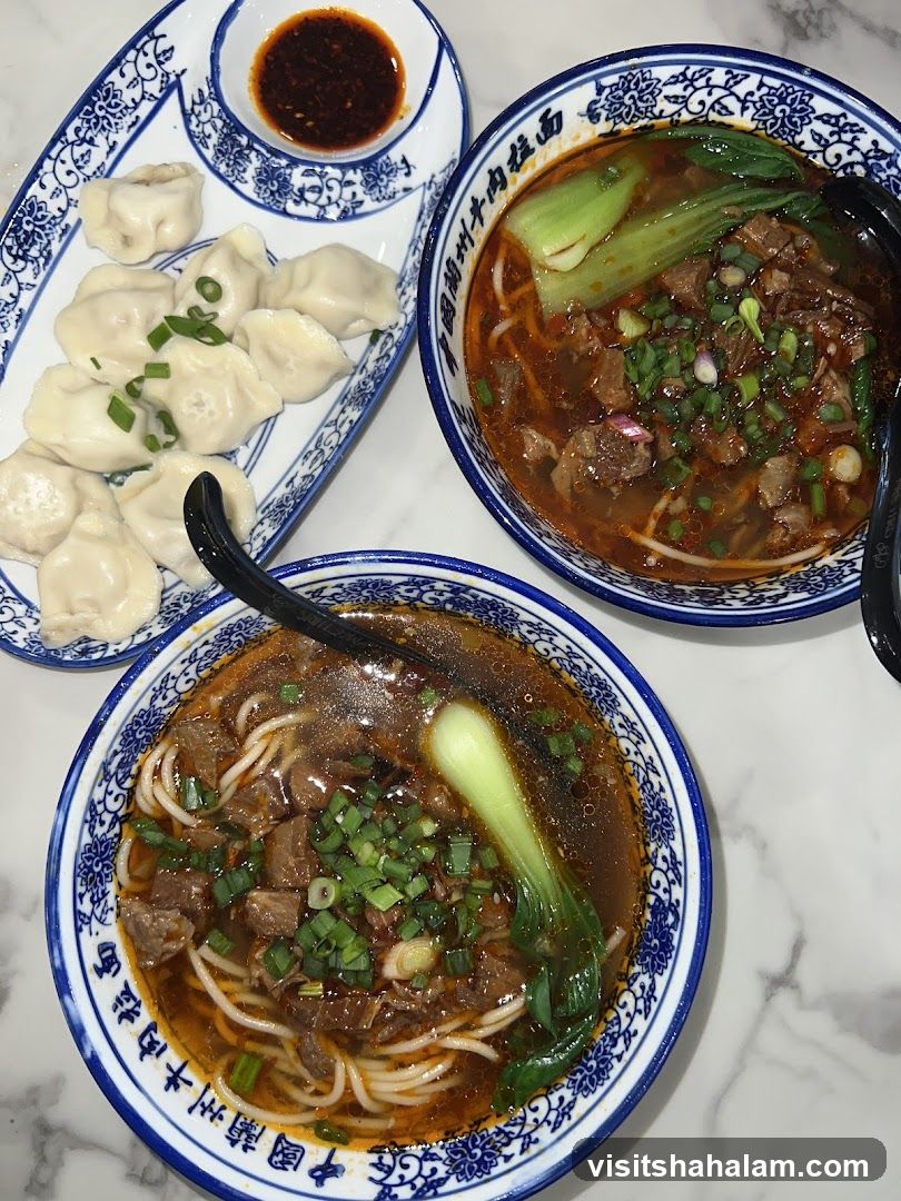 Beef Noodle Soup and Dumplings