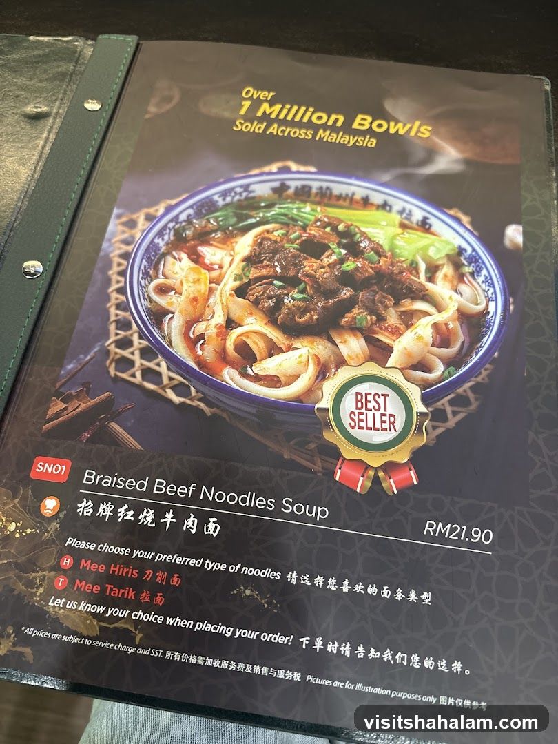 Braised Beef Noodles Soup