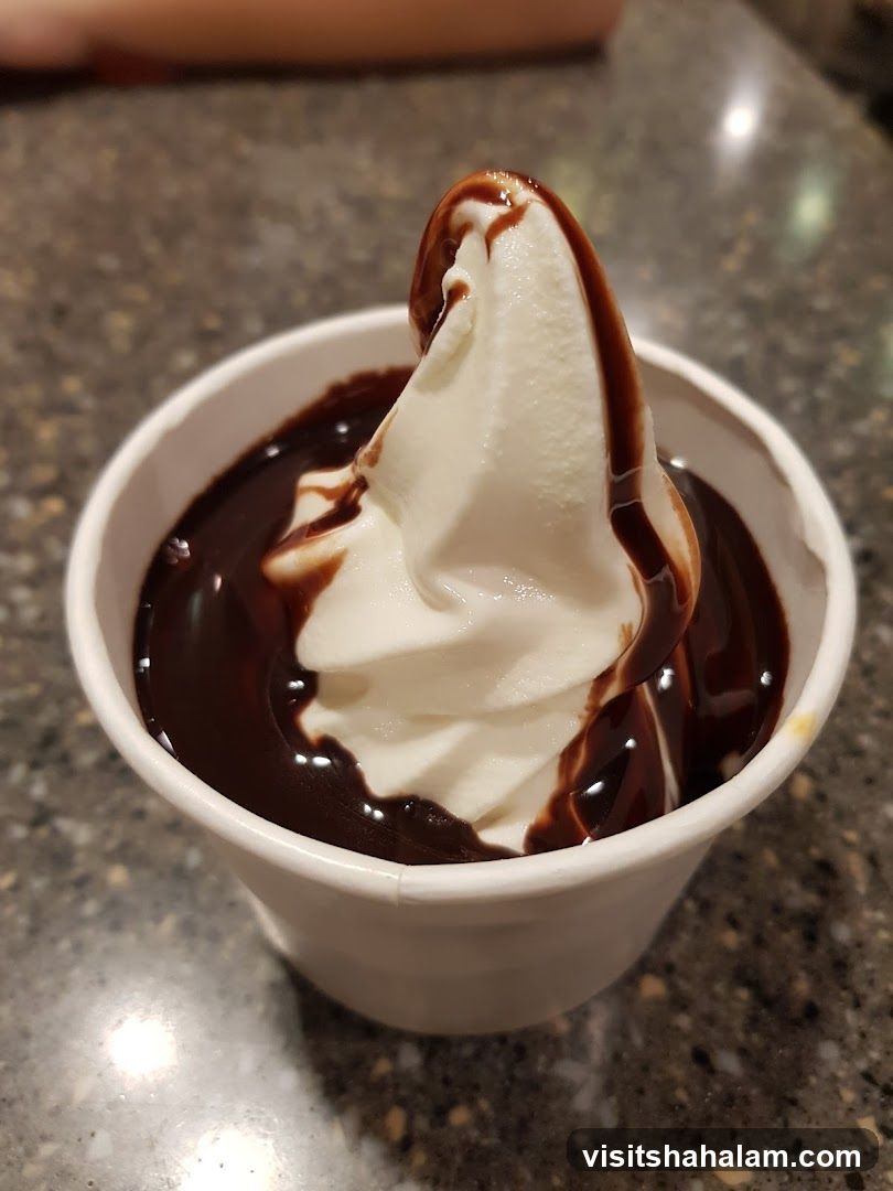 Soft Serve Ice Cream with Chocolate Sauce