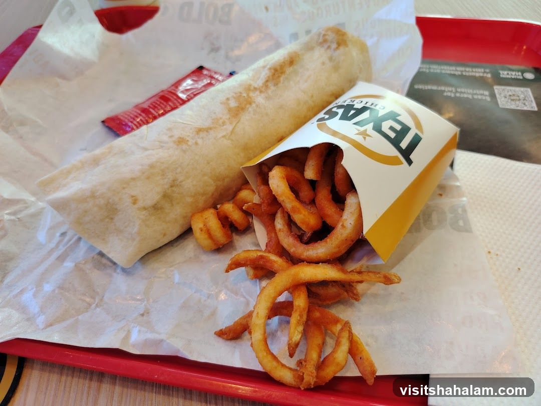 Burrito and Curly Fries