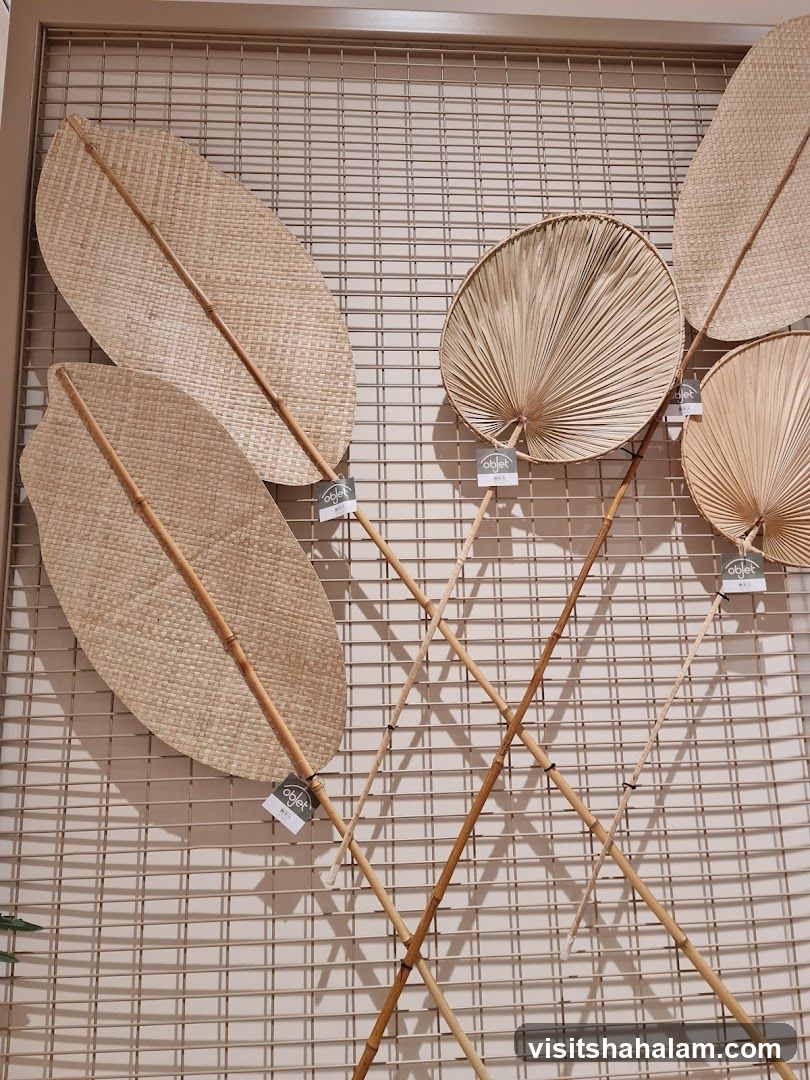 Woven Palm Leaf Fans