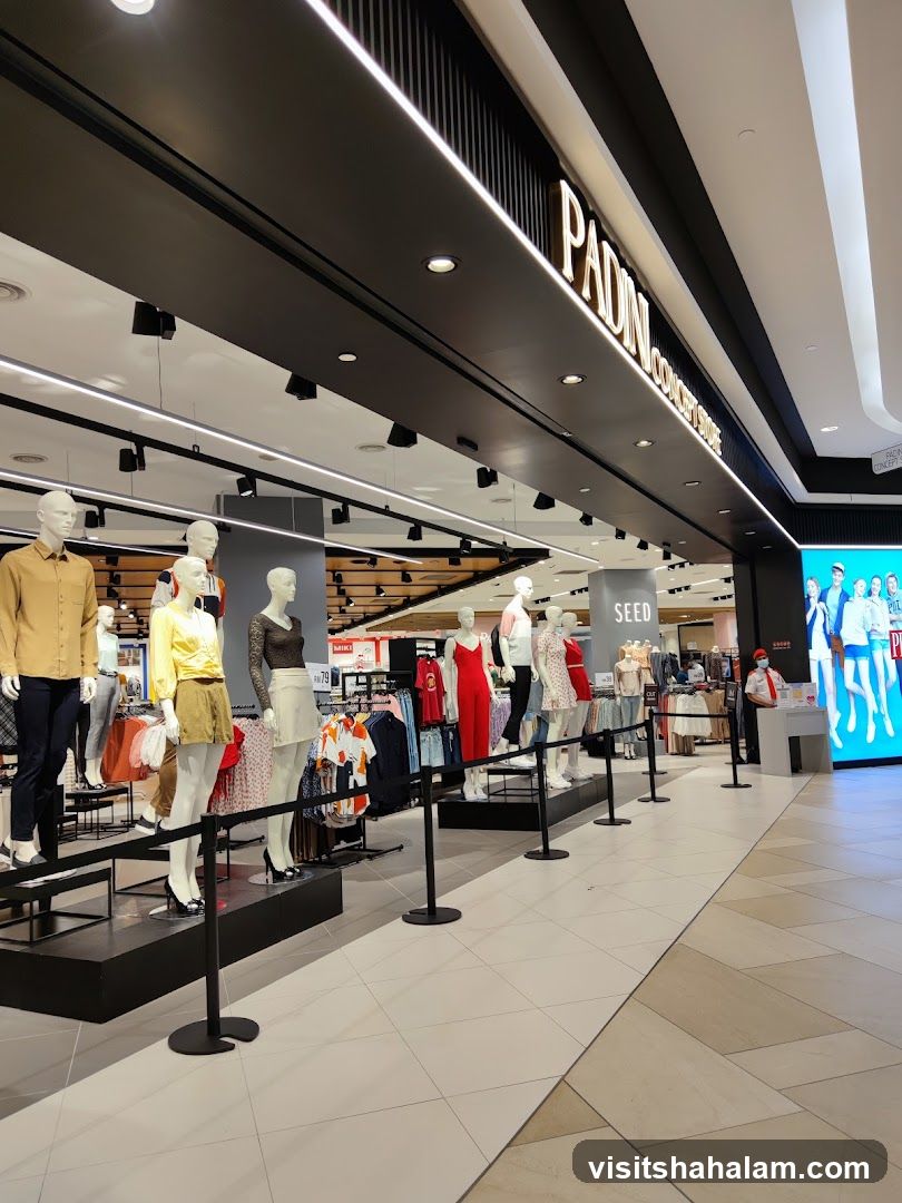 Clothing store interior with mannequins