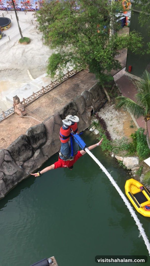 Bungee Jumping