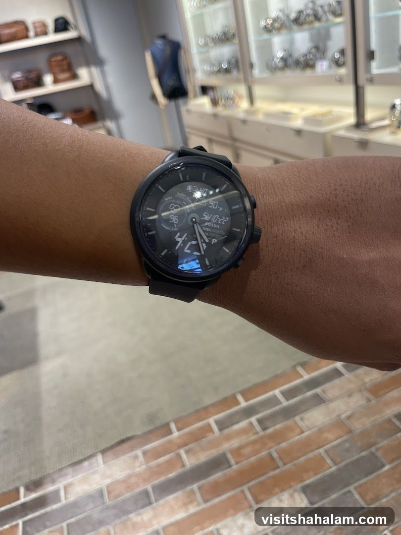Fossil Watch Display