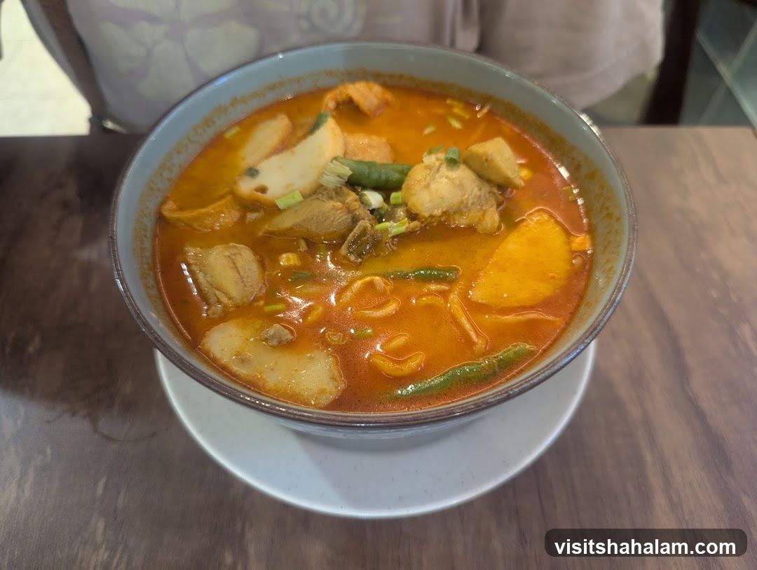 Bowl of Curry Noodles