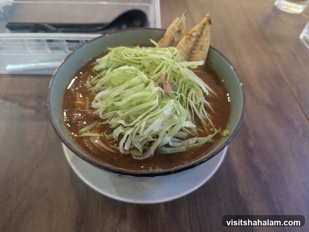 Bowl of Noodles