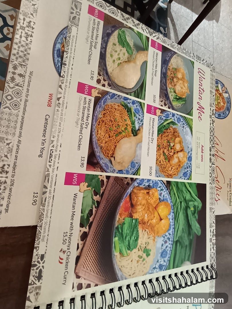 Wok Series Wantan Mee