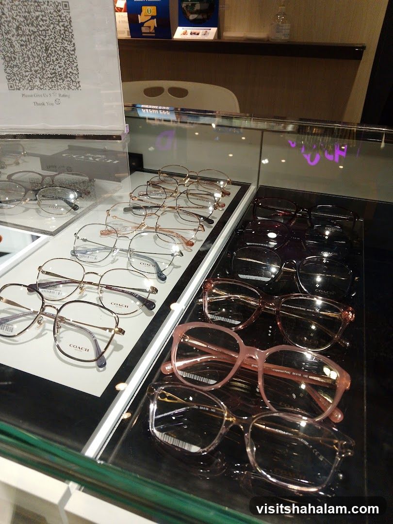 Eyeglasses Display