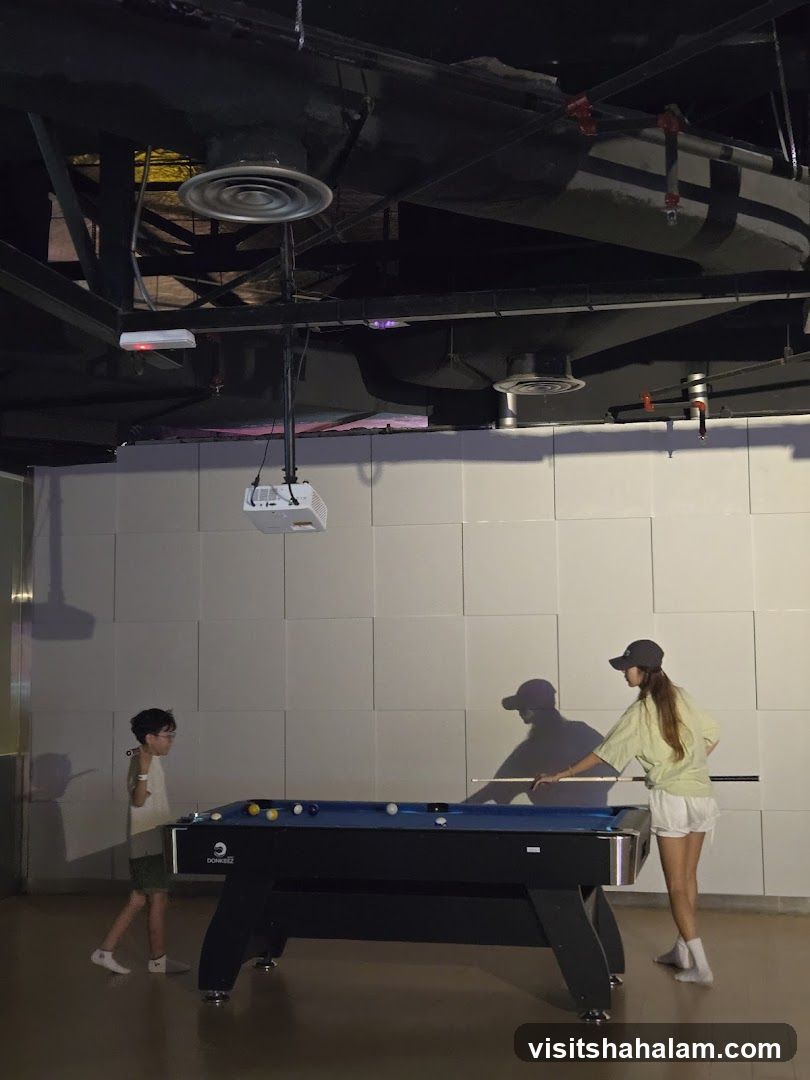 People playing pool