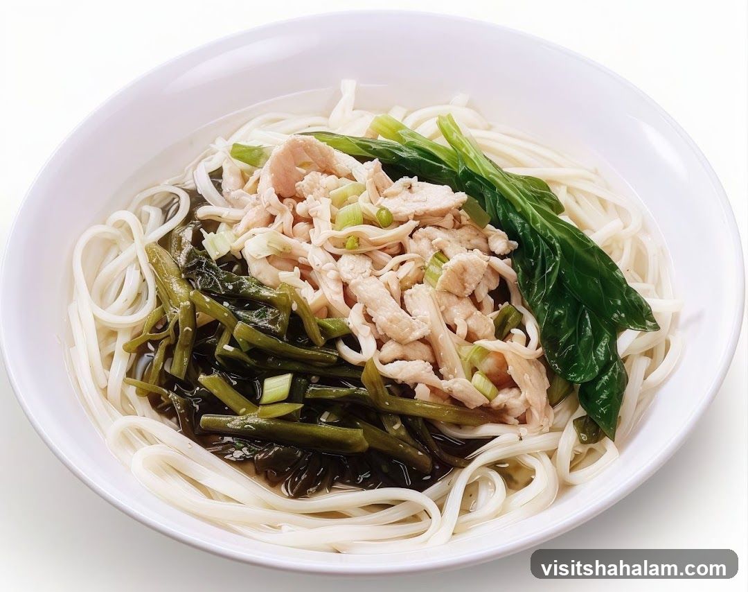Noodle Soup with Chicken and Vegetables