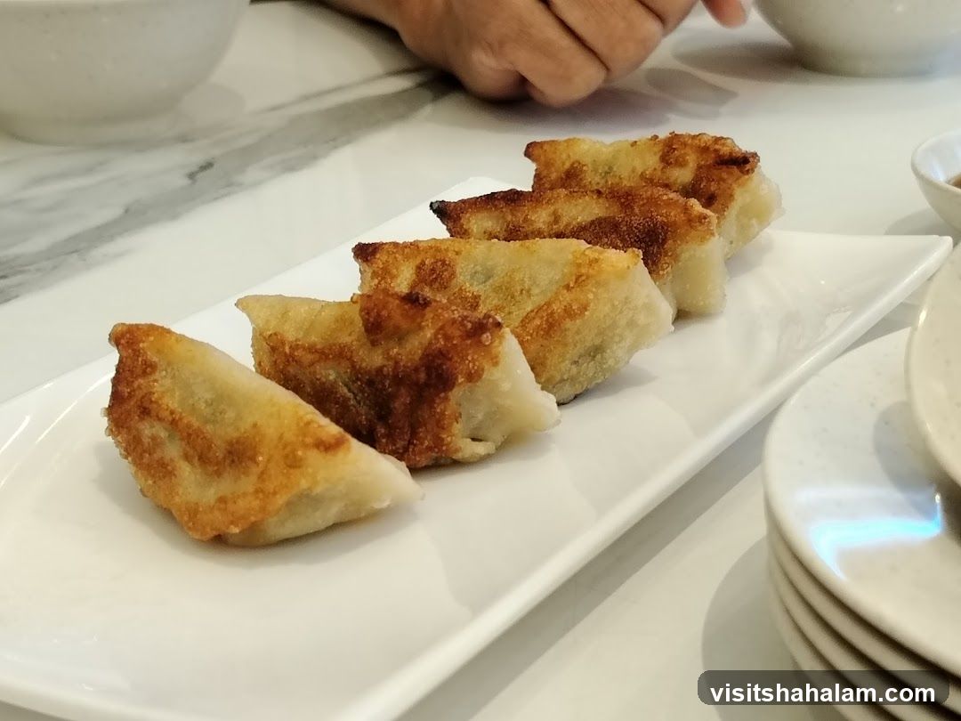 Pan-fried dumplings