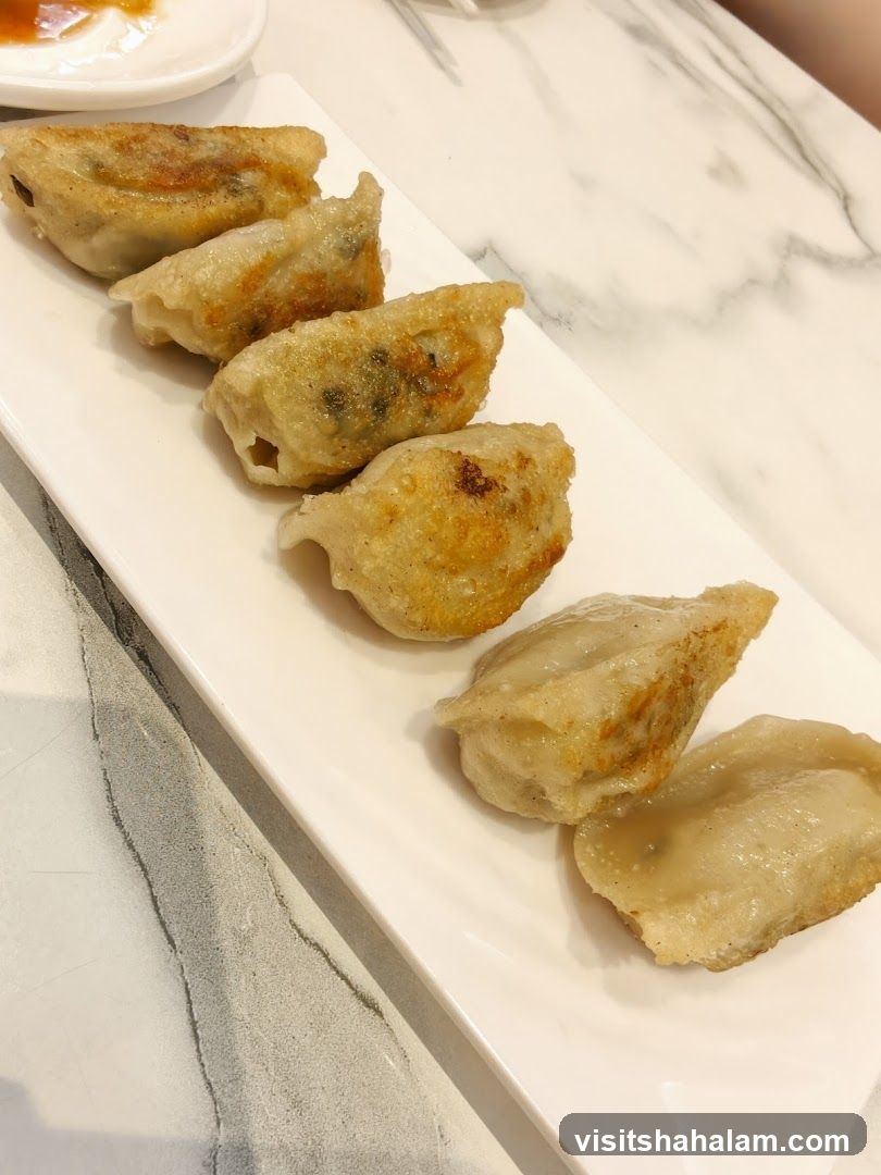 Pan-fried dumplings
