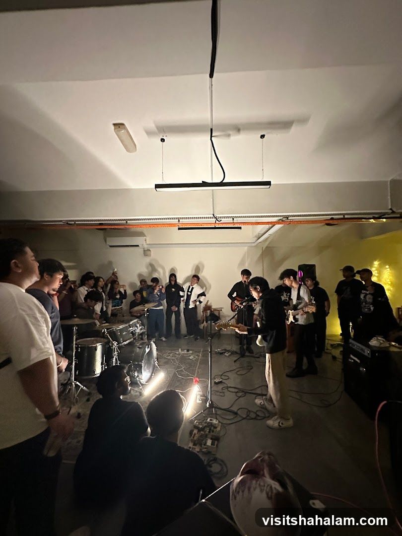 Live Music Performance
