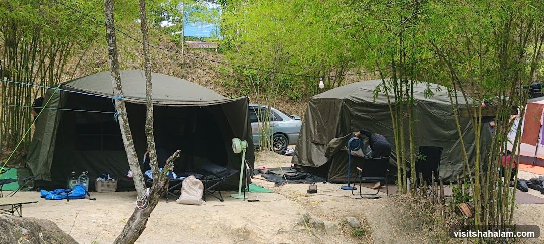 Campsite with Tents and Bamboo Forest