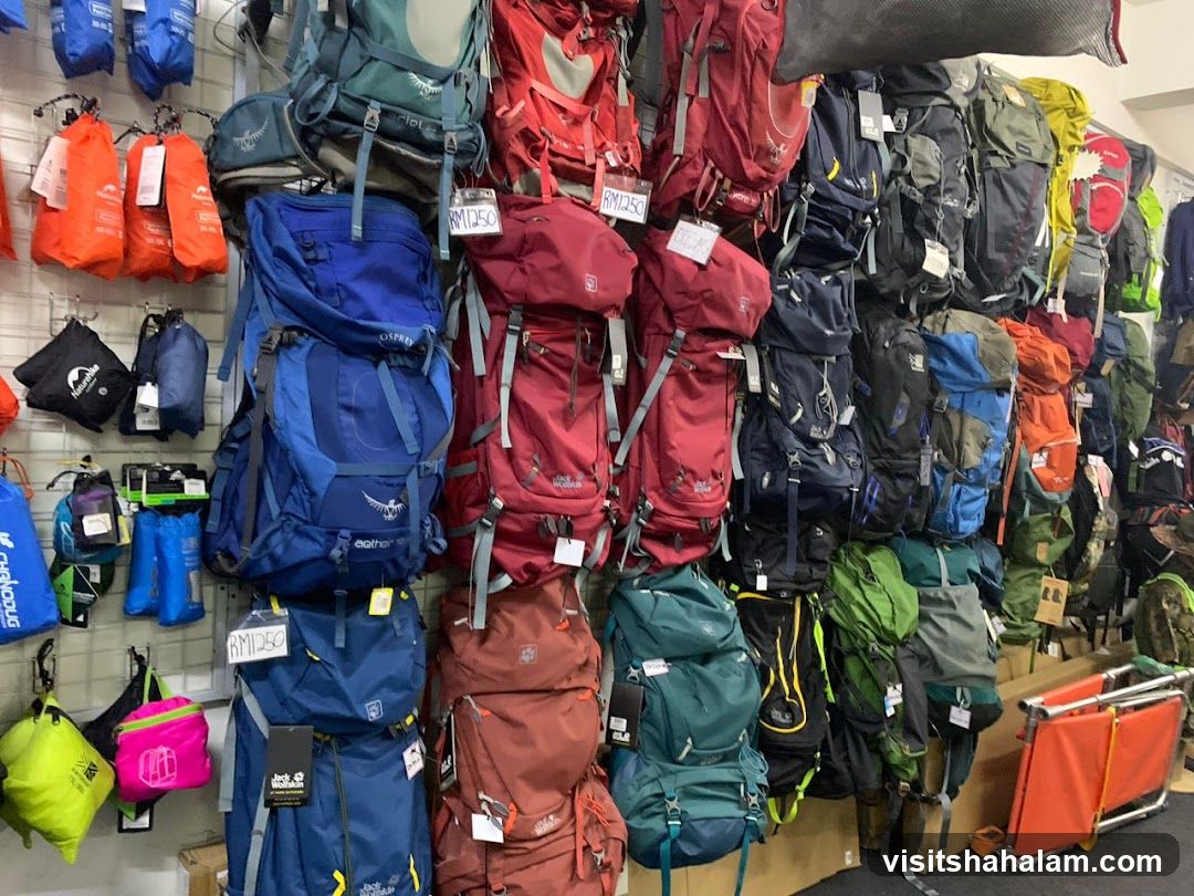 Backpacks and Outdoor Gear Display