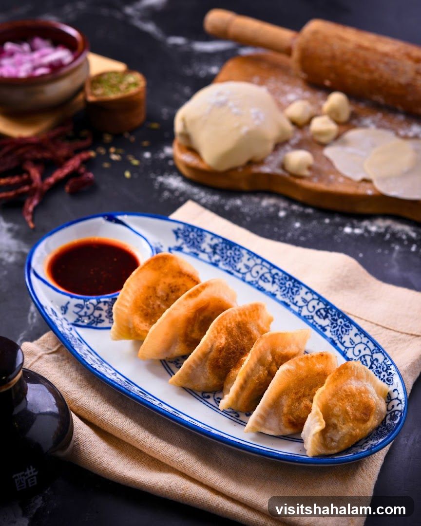 Pan-fried dumplings with dipping sauce