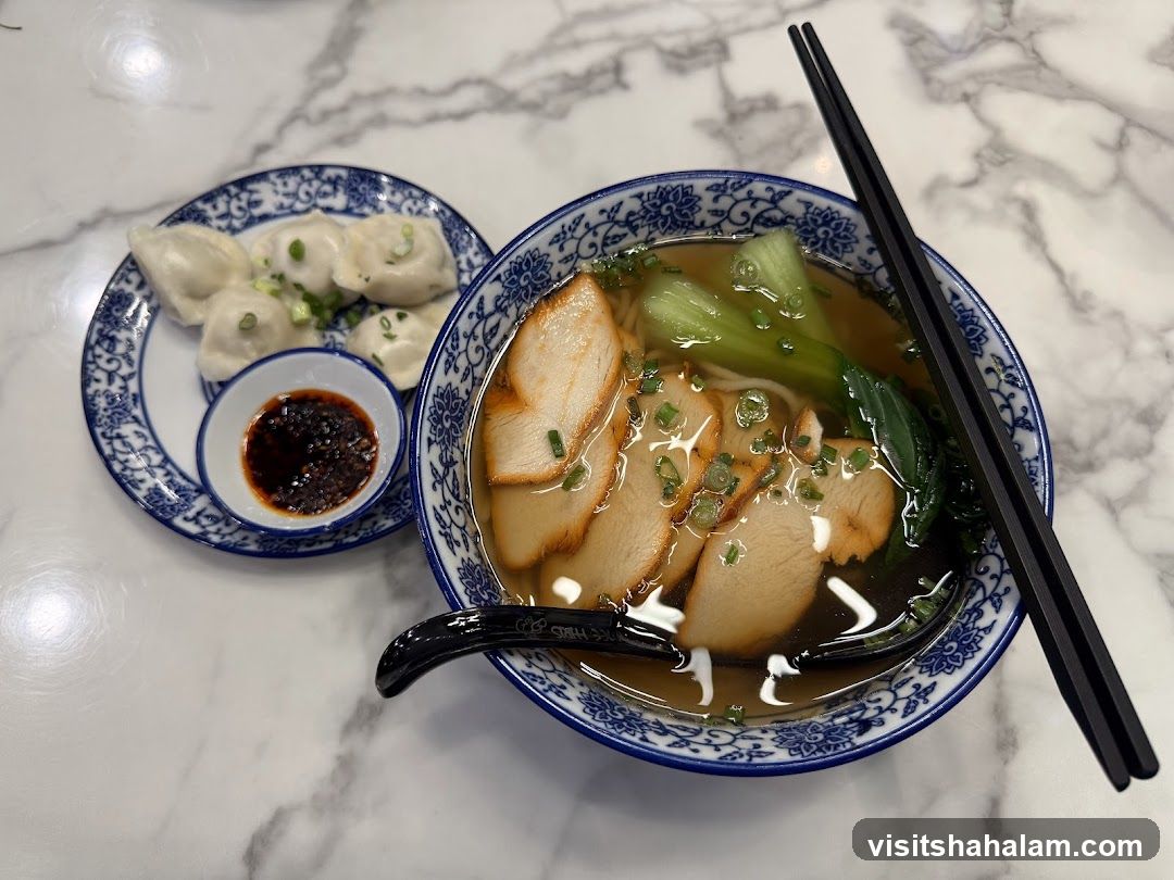 Noodle Soup and Dumplings