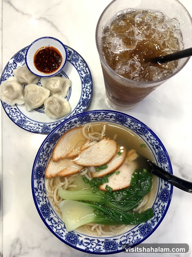 Noodle Soup and Dumplings