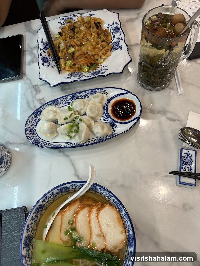Asian Meal with Dumplings and Noodles