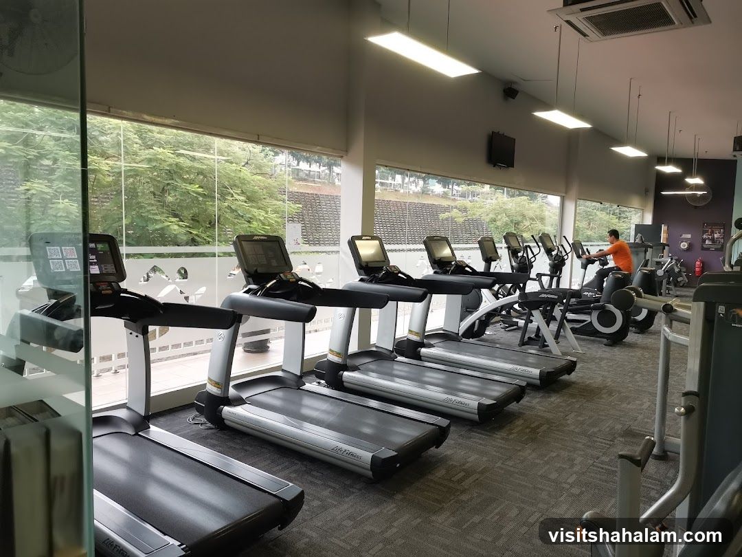 Gym interior with treadmills and exercise equipment