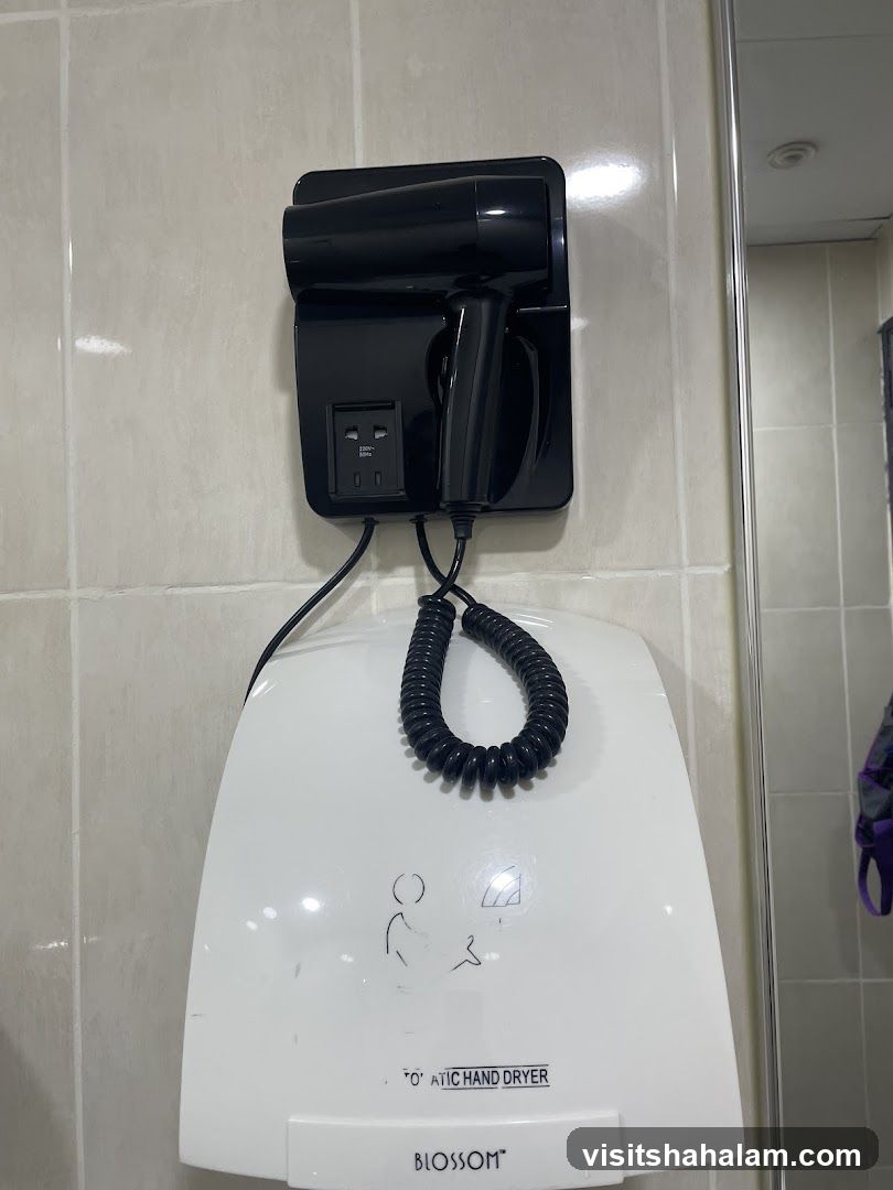 Wall-mounted hairdryer and hand dryer