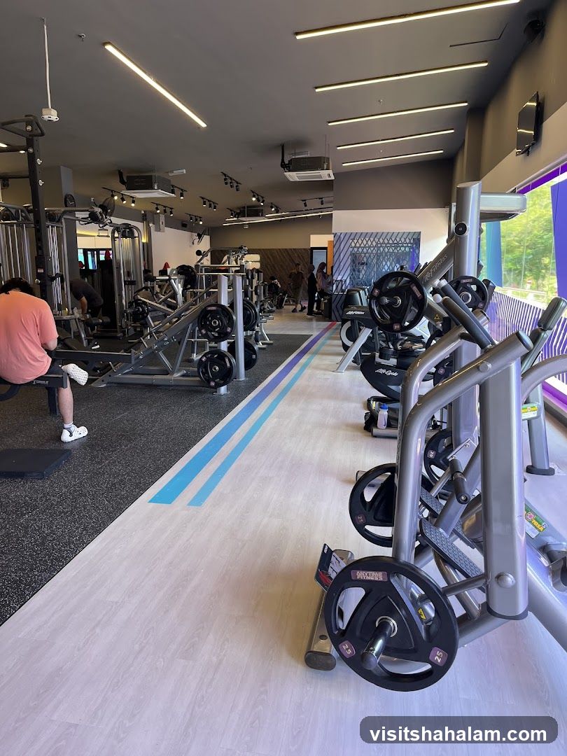 Gym Interior