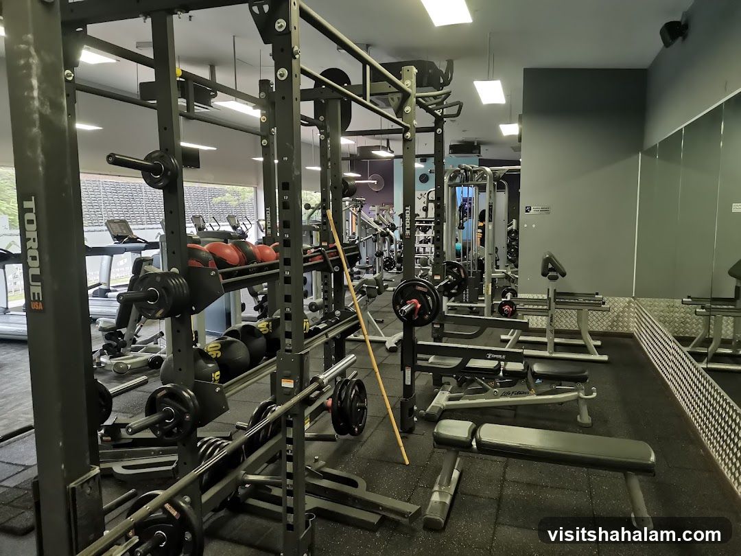 Gym Equipment