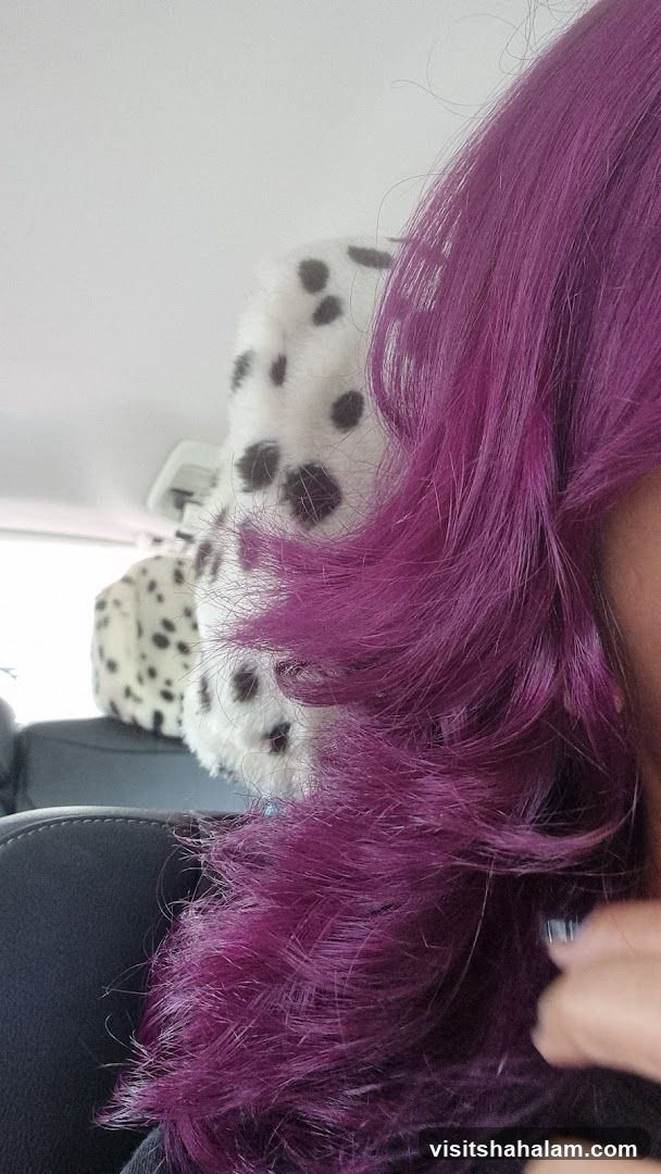 Purple Hair and Dalmatian Print Items