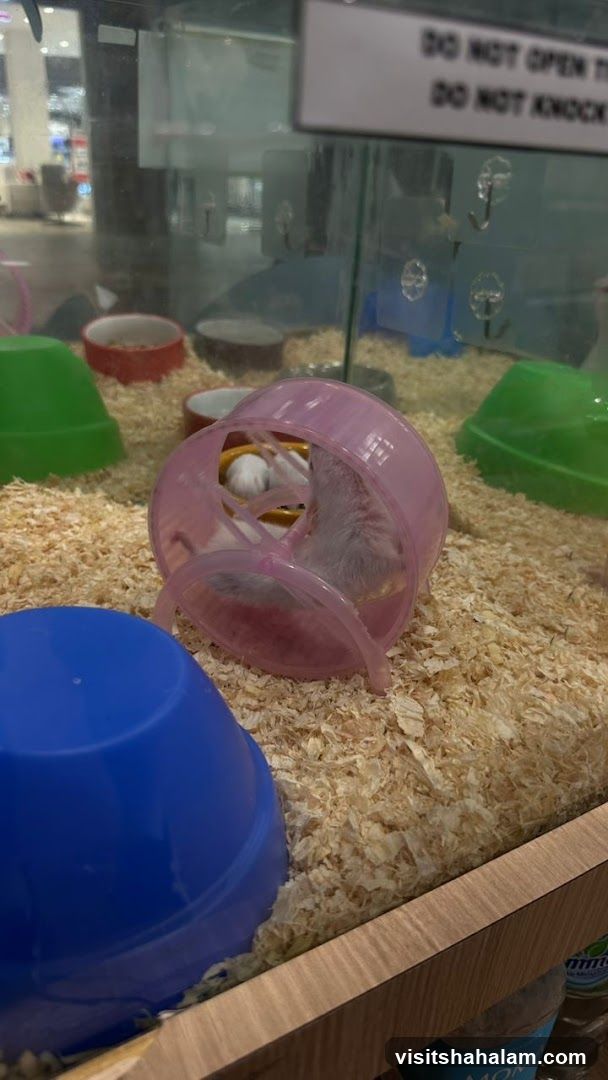 Petswonderland