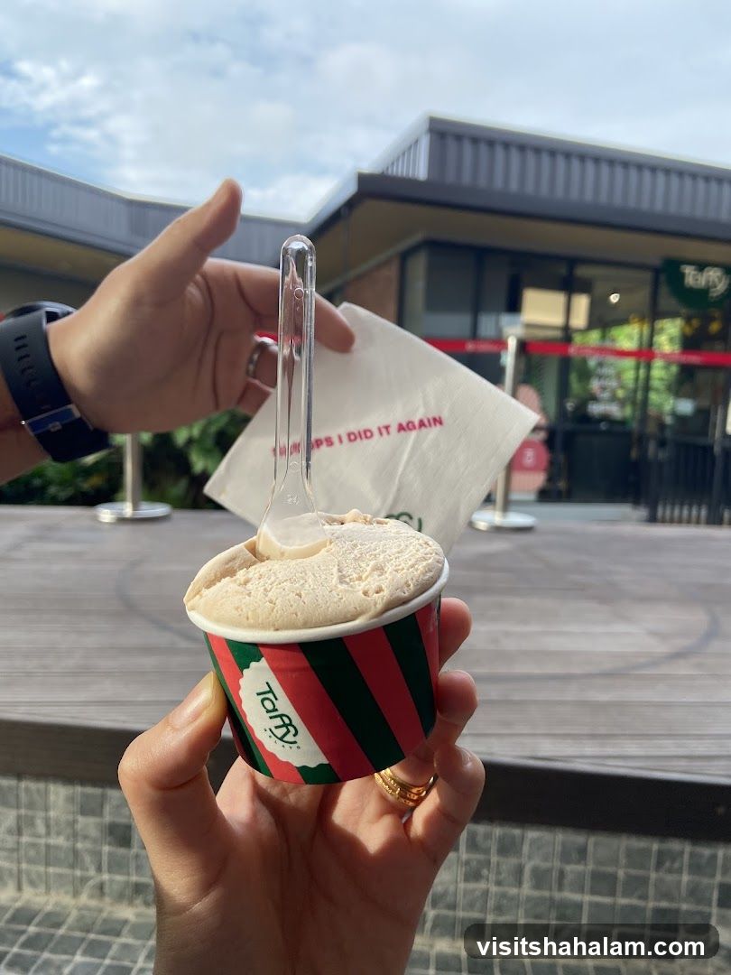 Ice Cream Cup