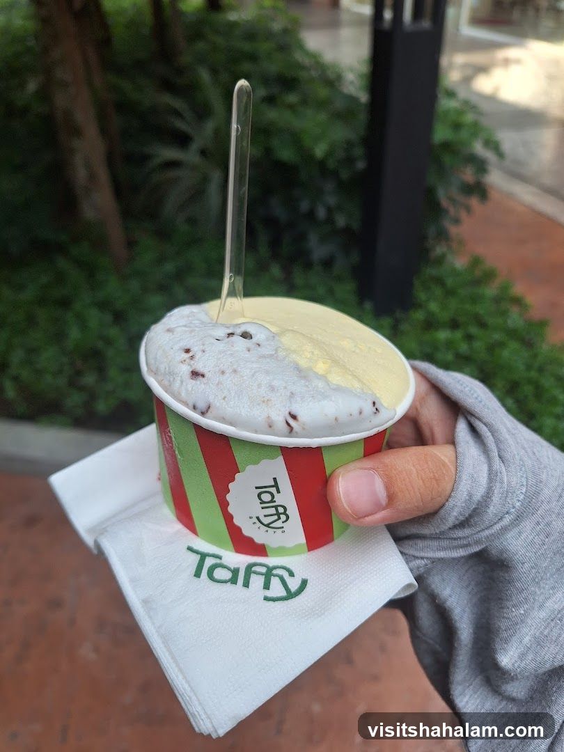 Gelato Cup