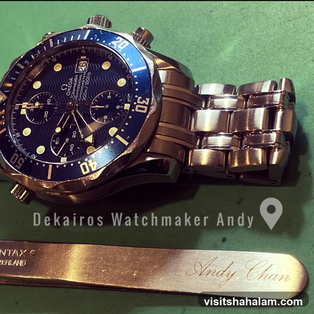 Omega Seamaster Watch