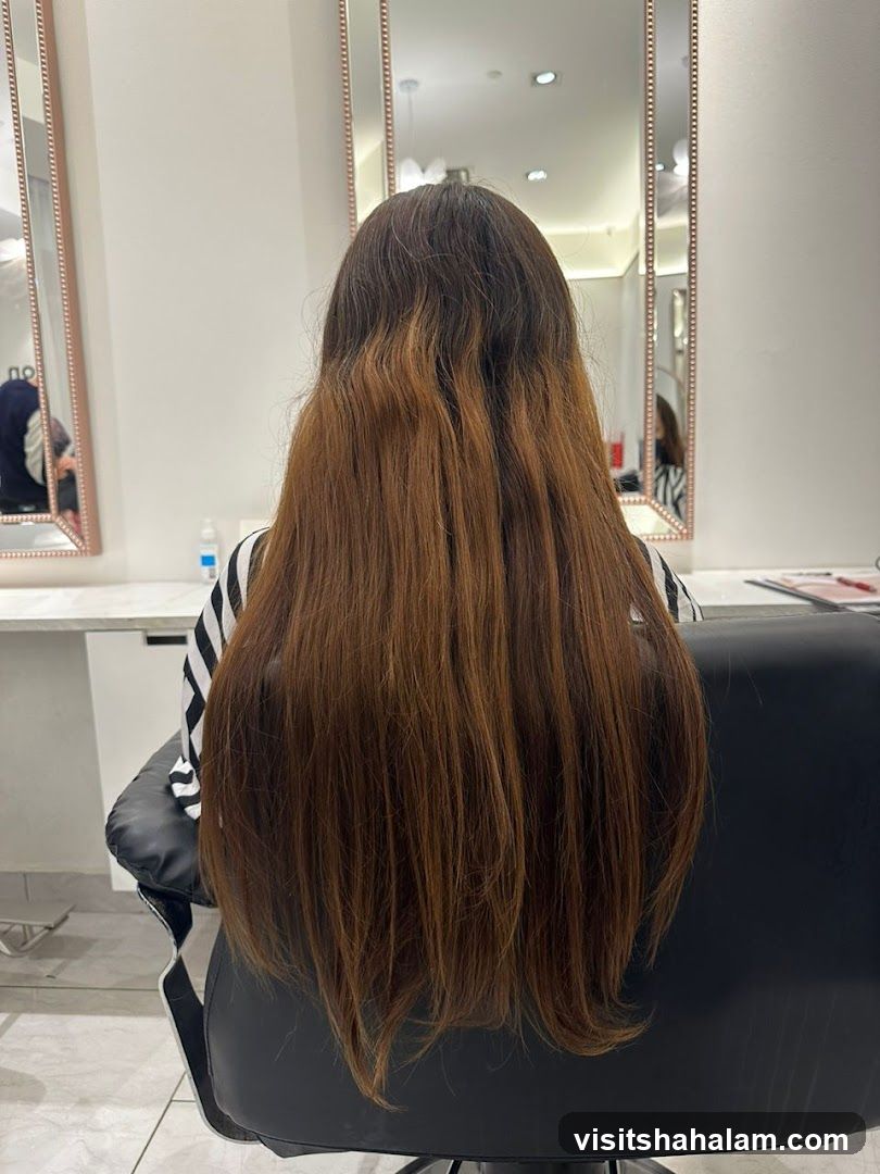 Woman's long brown hair