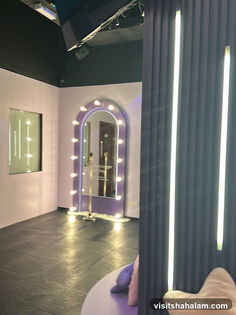 Vanity Mirror Area