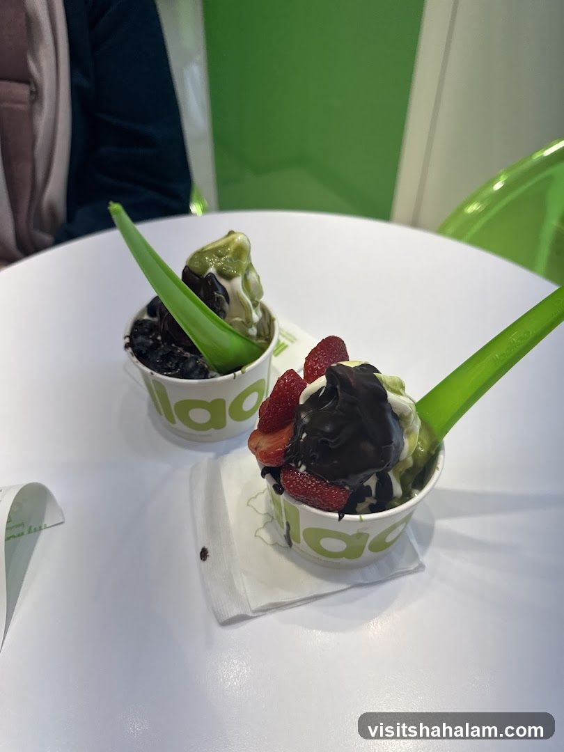 Frozen Yogurt with Toppings
